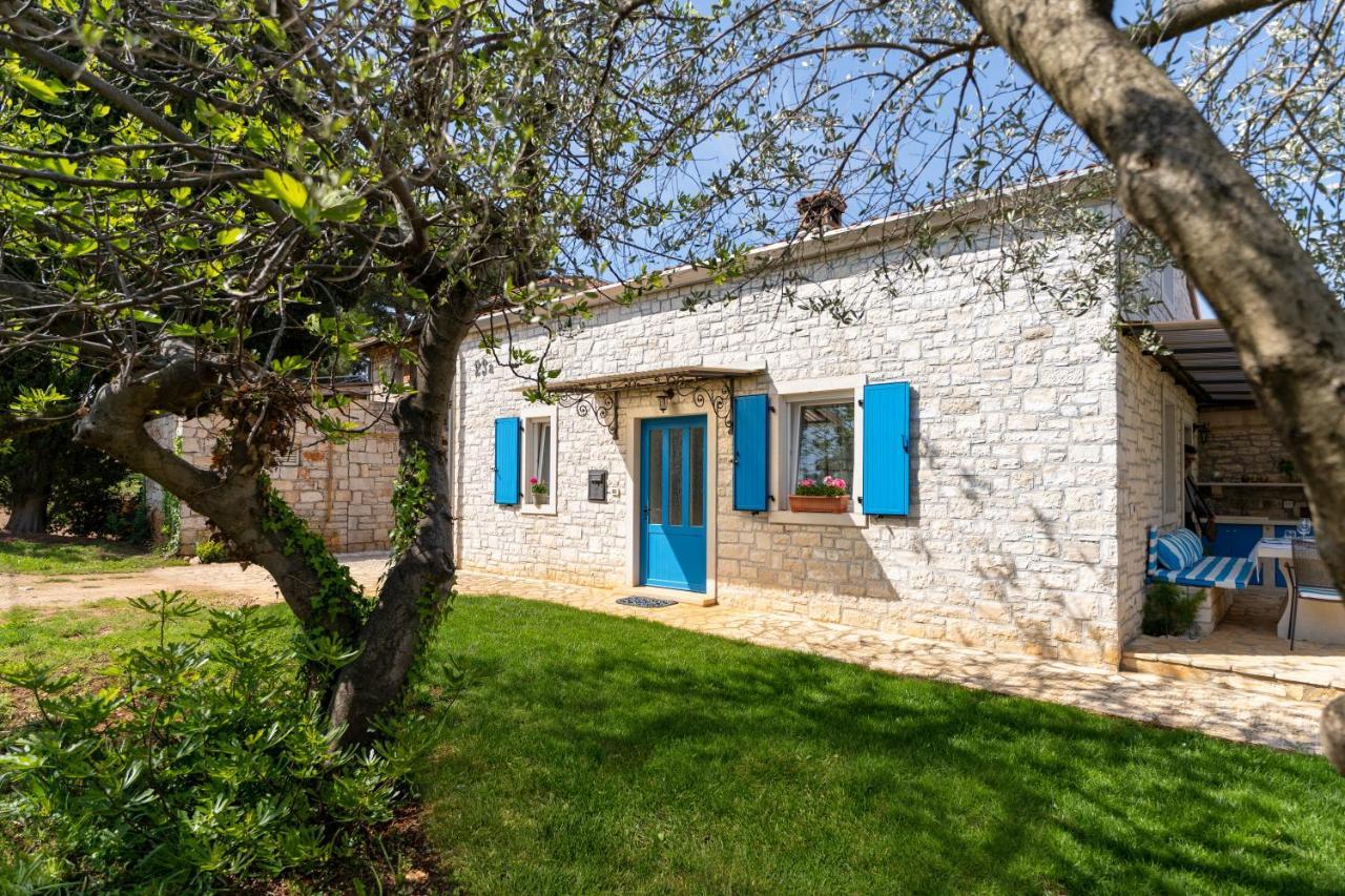 Villa Daulos Novigrad  Екстер'єр фото