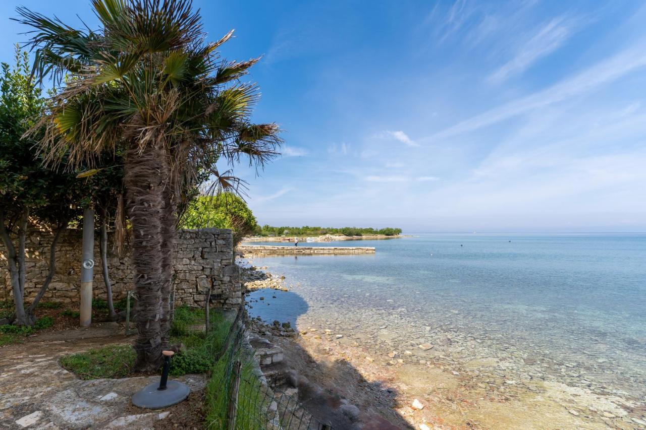 Villa Daulos Novigrad  Екстер'єр фото