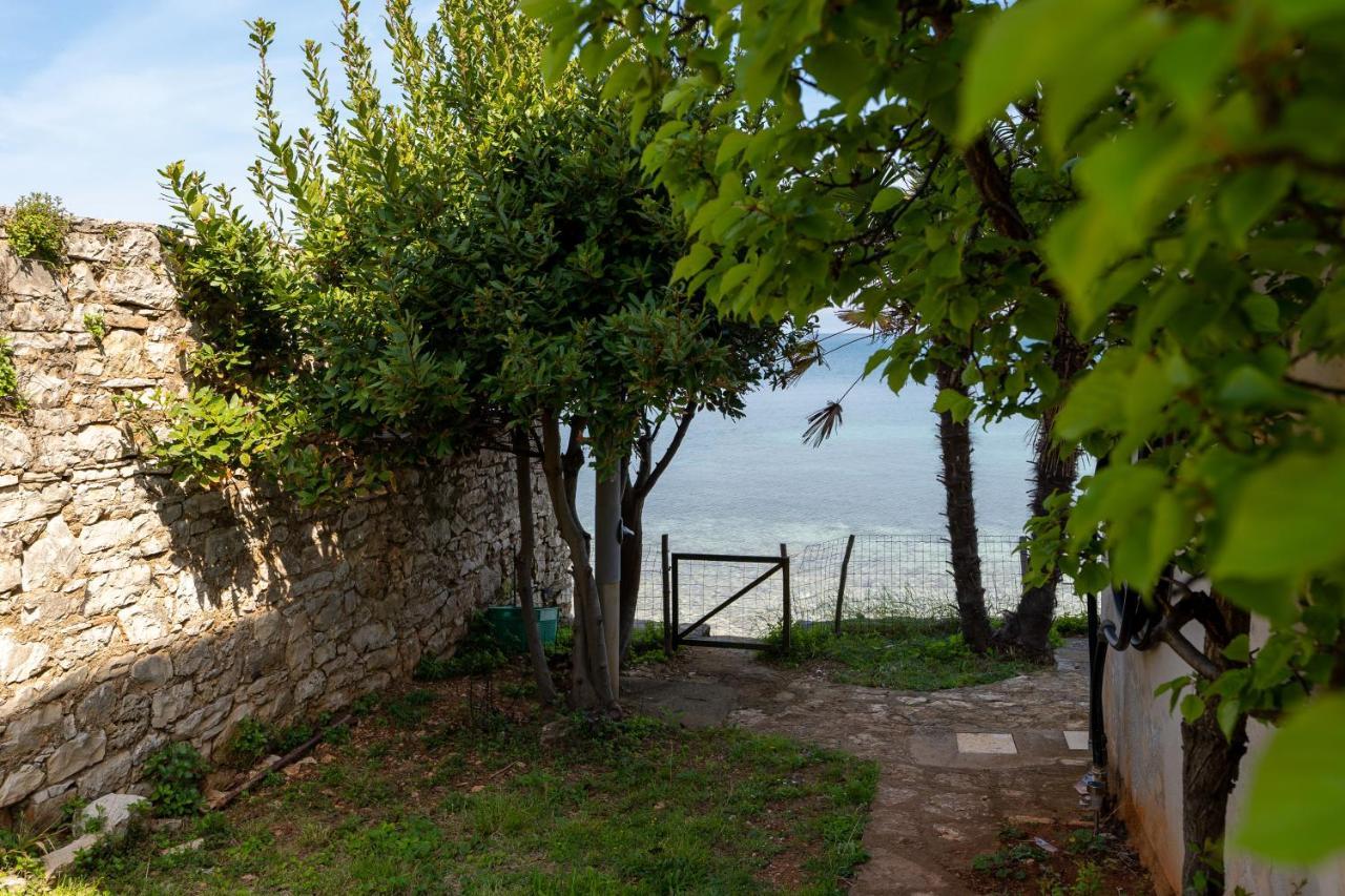 Villa Daulos Novigrad  Екстер'єр фото