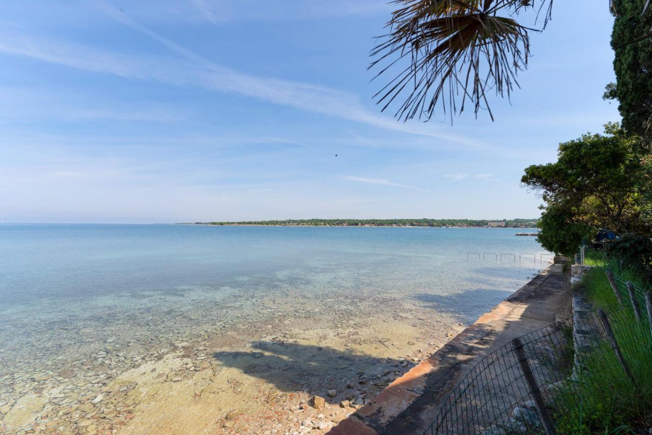 Villa Daulos Novigrad  Екстер'єр фото